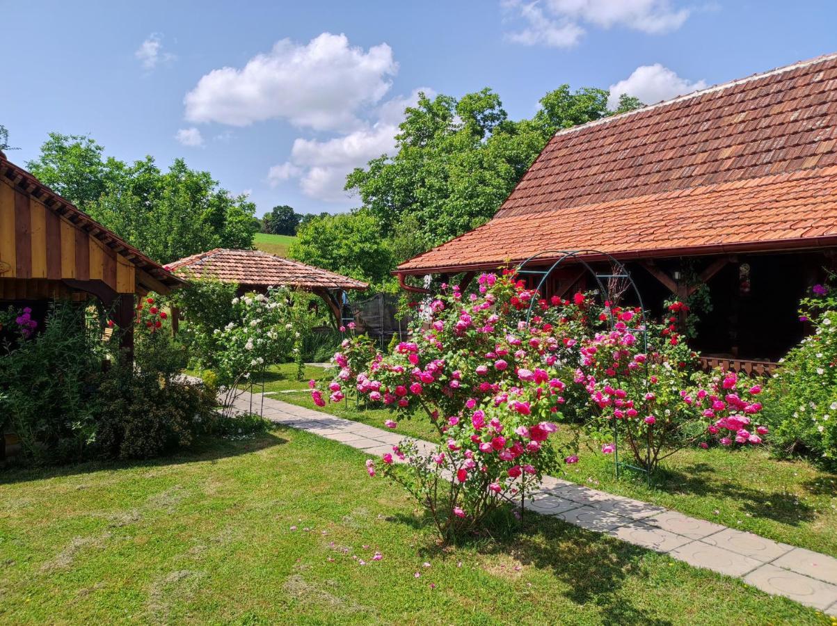 Pod Orehom Drvena Kuca I Sauna Hotel Krapina Eksteriør billede