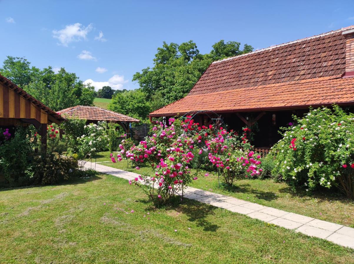 Pod Orehom Drvena Kuca I Sauna Hotel Krapina Eksteriør billede